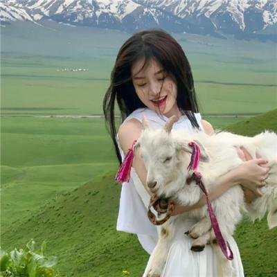 机器战犬