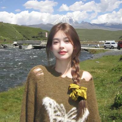 怪盗山猫